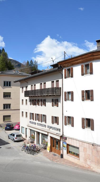 Albergo Cavallino Pieve di Cadore Exterior photo